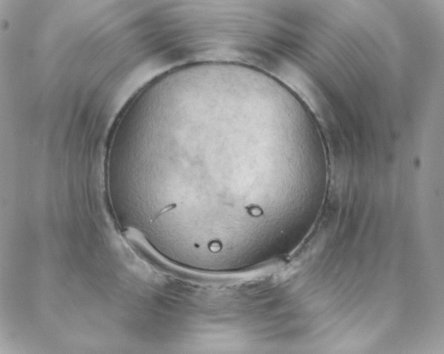 X0000088831000200706071350