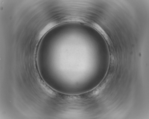 X0000088831002200706071350