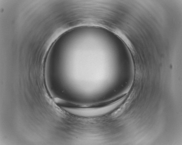 X0000088831004200706071350