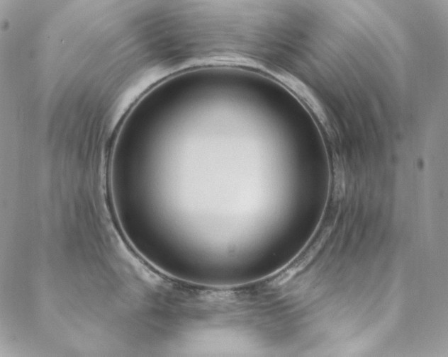 X0000088831006200706071350
