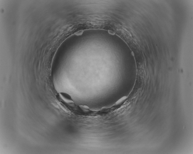 X0000088831009200706071350