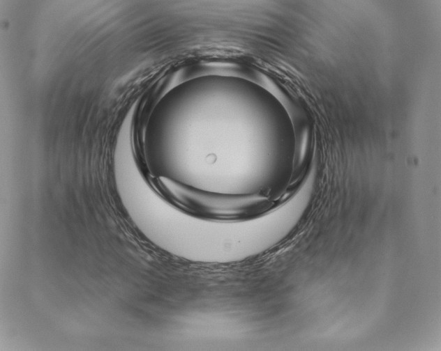 X0000088831014200706071350