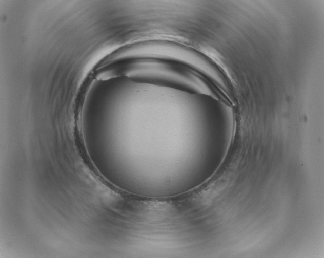 X0000088831024200706071350