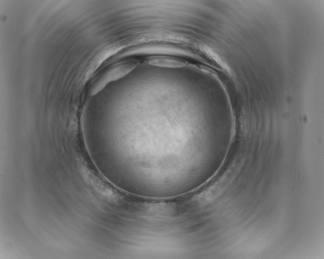 X0000088831025200706071350