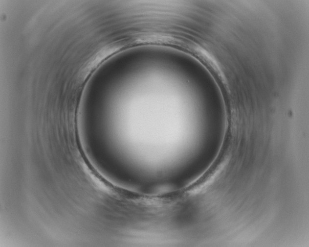 X0000088831041200706071350