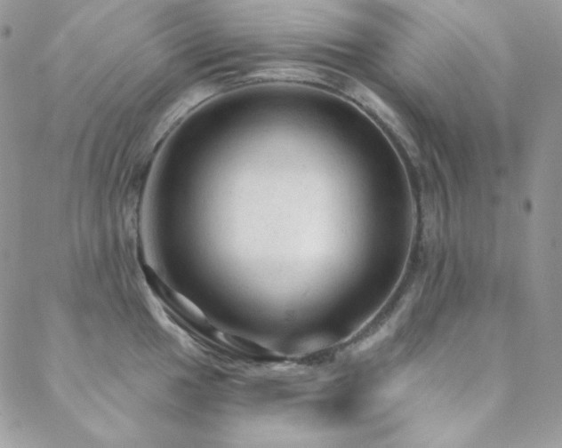 X0000088831049200706071350