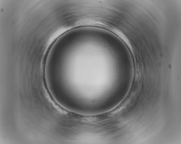 X0000088831053200706071350