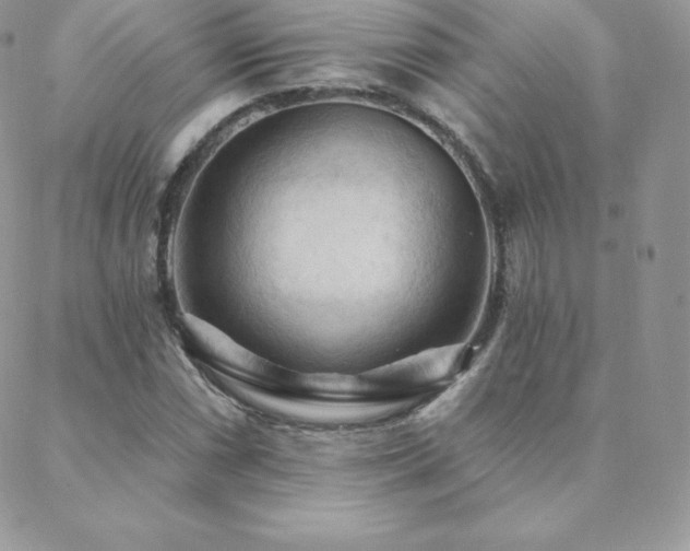 X0000088831066200706071349