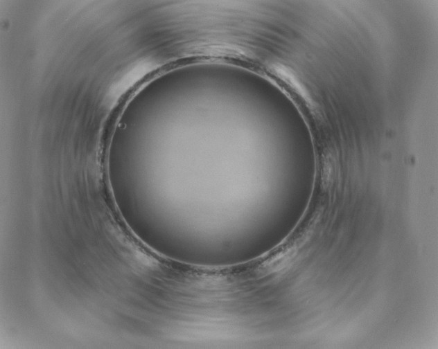 X0000088831071200706071349