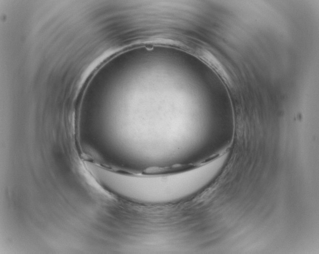 X0000088831092200706071349