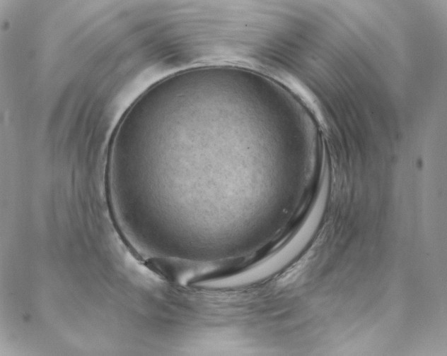 X0000088831102200706071349