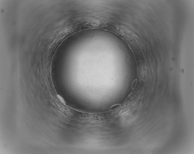 X0000088831105200706071348