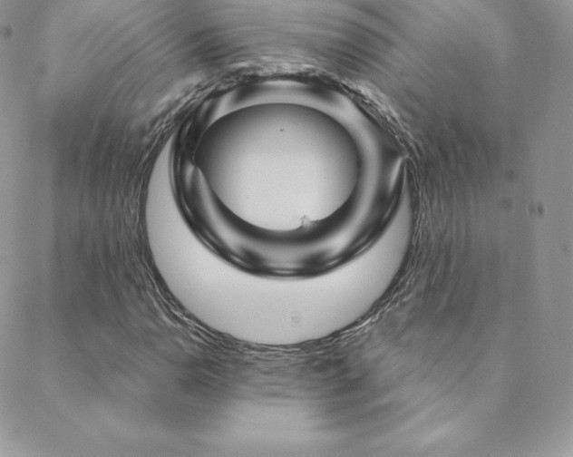 X0000088831110200706071348