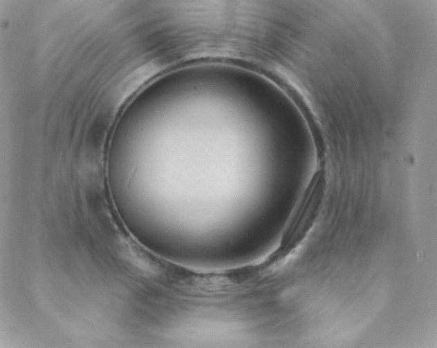X0000088831129200706071348
