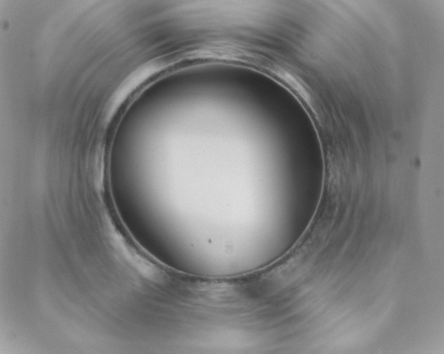 X0000088831131200706071348