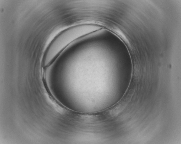 X0000088831132200706071348