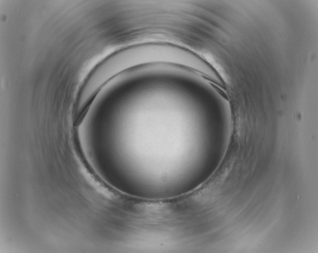 X0000088831134200706071348