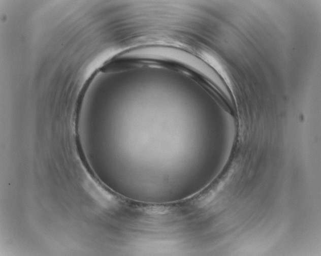 X0000088831141200706071349