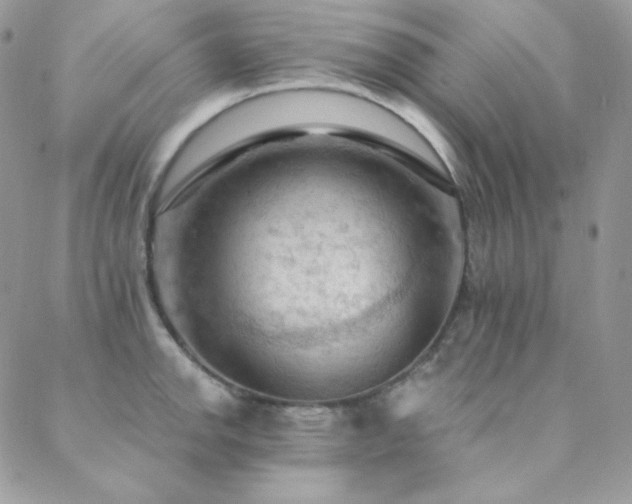 X0000088831142200706071349