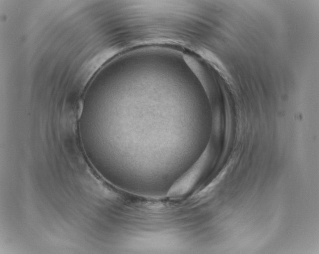 X0000088831177200706071348