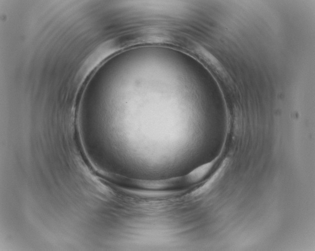 X0000088831178200706071348