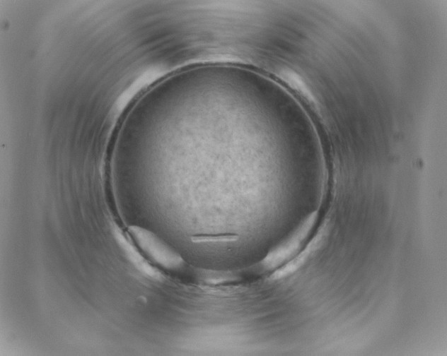 X0000088831181200706071348