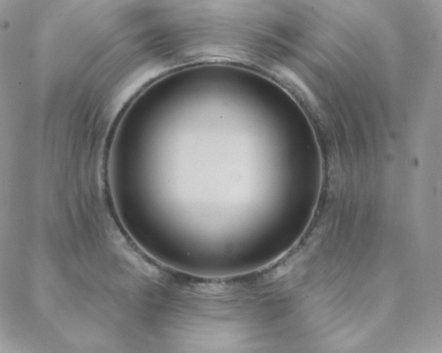 X0000088831182200706071348