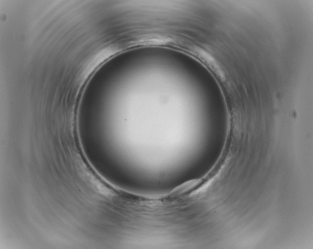 X0000088831186200706071347