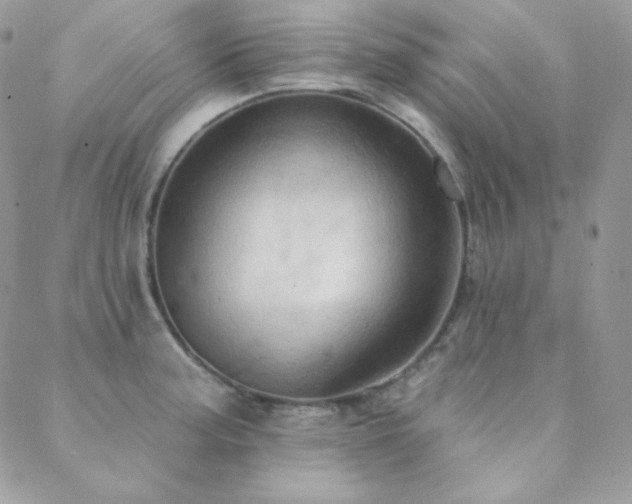 X0000088831187200706071347