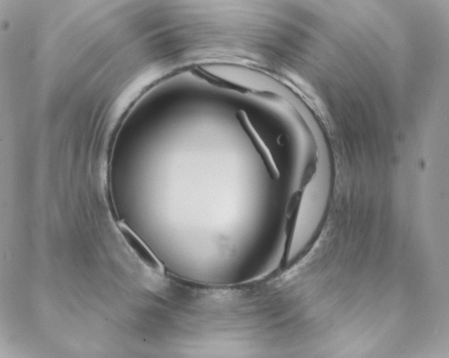 X0000088831188200706071347