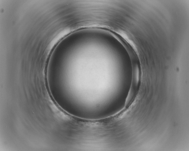 X0000088831189200706071347