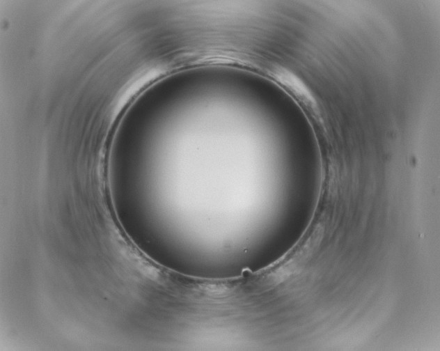 X0000088831190200706071347