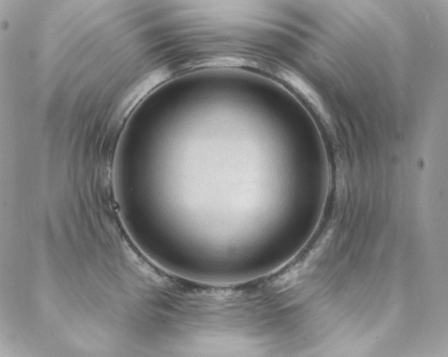 X0000088831193200706071347
