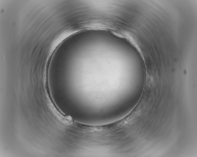 X0000088831195200706071347
