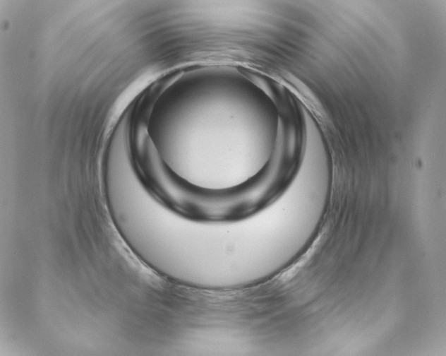 X0000088831196200706071347