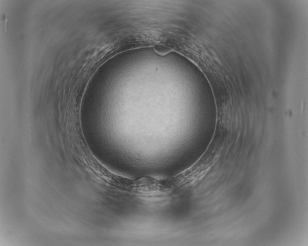X0000088831201200706071346