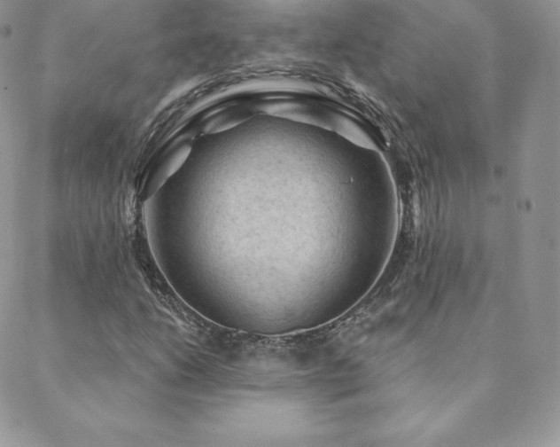 X0000088831206200706071347