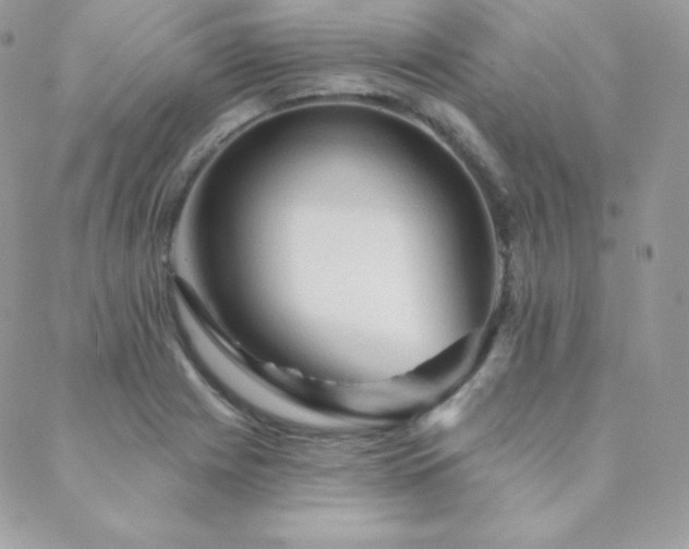 X0000088831225200706071347