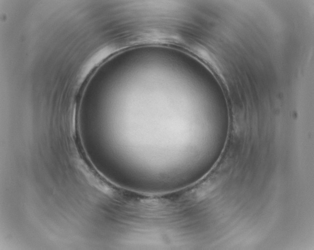 X0000088831227200706071347