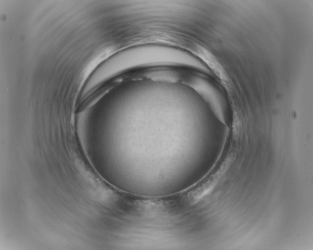 X0000088831234200706071347