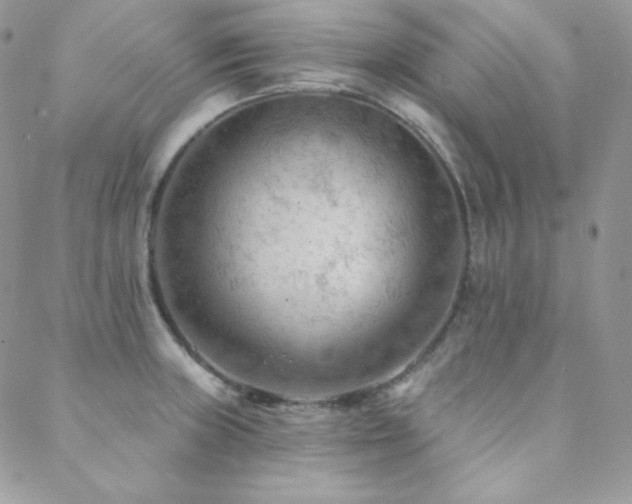 X0000088831235200706071347