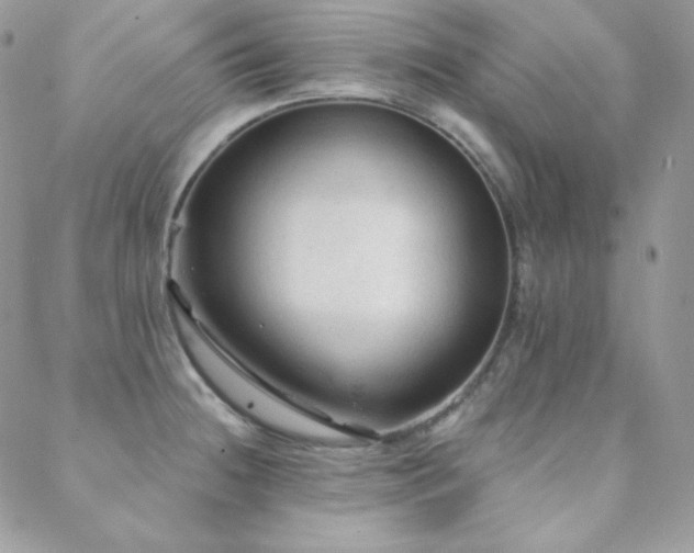 X0000088831236200706071347