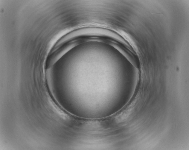 X0000088831238200706071347