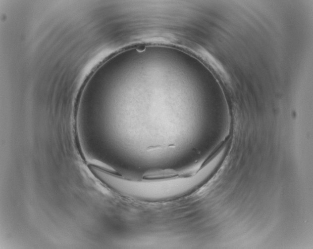 X0000088831240200706071347