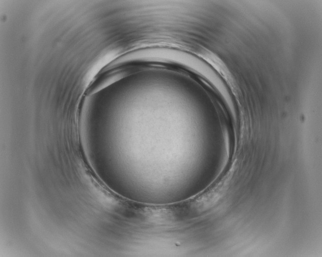 X0000088831242200706071347