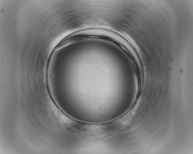 X0000088831246200706071347