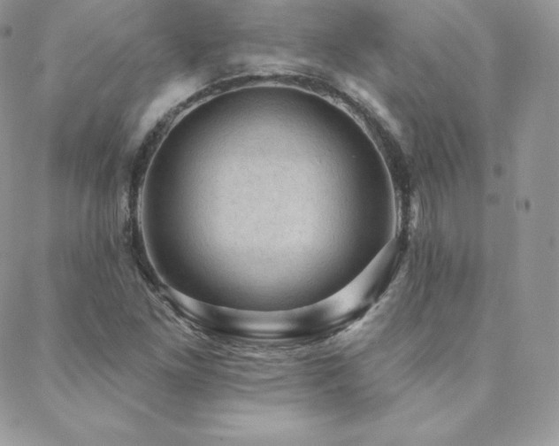 X0000088831261200706071346