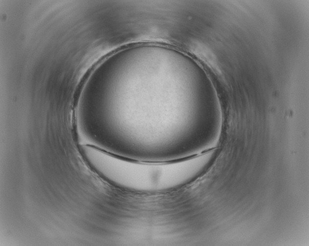 X0000088831268200706071346