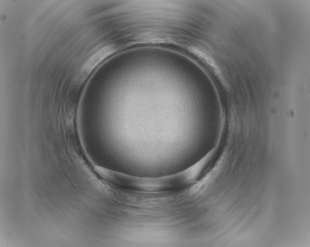 X0000088831273200706071346