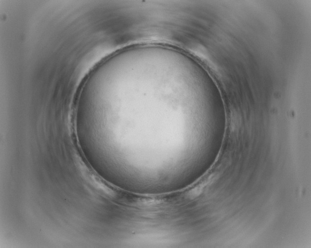 X0000088831278200706071346